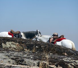 7 Day Gredos to Salamanca Progressive Horse Riding Tour in Spain - Photo 3
