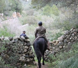 8 Day Horse Riding Holiday with Beautiful Intermediate Trails in Menorca, Balearic Islands, Spain - Photo 5