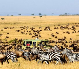 85-Daagse Luxe Safari in Masai Mara, Nakuru en Naivasha, Kenia - Photo 1