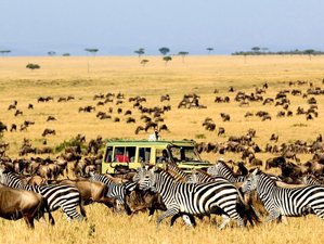 5 Day Luxury Safari in Masai Mara, Nakuru & Naivasha, Kenya