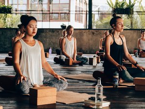 Self-Paced 200-Hour Online Vinyasa and Hatha Yoga Teacher Training
