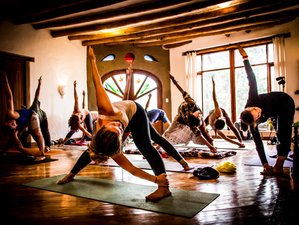 42 Day 300-Hour Tantra Yoga Shamanism Teacher Training in Pichincha