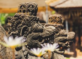 Mas Retreats & Trips