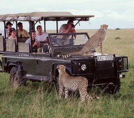 5 jours safari animalier privé à Ol Pejeta, au lac Nakuru et au Maasai Mara, Kenya - Photo 4