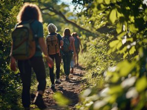 4 Day Women's Hormonal Health Retreat in Devon, UK