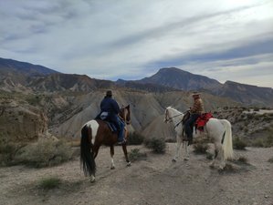 3 Day Horse Riding Holiday in the Desert of Tabernas, Spain