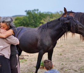 94 jours en stage de yoga et cheval au centre de la France - Photo 1