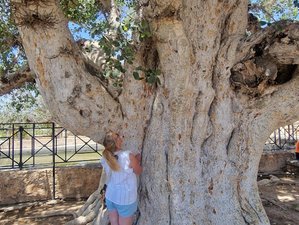 7 Day Awaken Your Divine Self Retreat in Ayia Napa, Cyprus