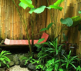 4 Tage Yoga, Pilates und Kultur Retreat mit Atemberaubendem Blick auf Reisfelder in Yogyakarta, Indonesien - Photo 5