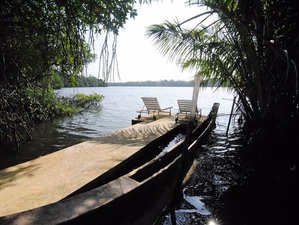 7 Day Yoga Retreat, Massage, and Excursion in Bentota, Sri Lanka