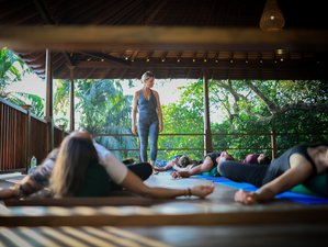11 Day Wellness, Meditation, and Yoga Holiday in Hiriketiya, Southern Province