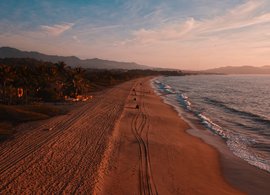 Nayarit Retreats & Trips