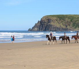 2 jours en stage d’équitation sur la plage du sentier de la rivière Kei sur la Wild Coast, Afrique du Sud - Photo 5