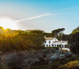 8 Tage Private, Erholen und Entspannen, Klangcoaching, Pferde und Yoga im Naturpark Grazalema, Spanien - Photo 5