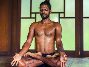 7 Day 50-hour Ashtanga Yoga Teacher Training in Mytikas, Aetolia-Acarnania Region, Greece