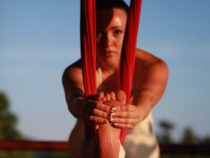 7 Day Sea View 50-Hour Aerial Yoga Teacher Training Beginners Level 1 Koh Phangan, Thailand