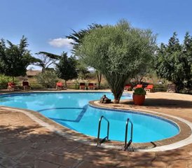 4-Daagse Tsavo East, Taita Hills En Amboseli Safari in Kenia - Photo 5