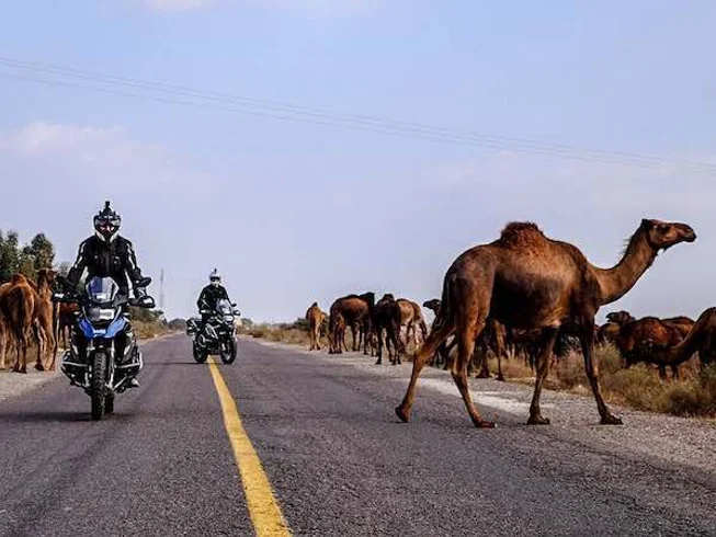14 Day Best of Morocco Guided Motorbike Tour
