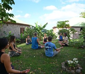 08 jours dans la jungle insulaire : stage yoga et randonnée guidée dans le parc naturel de Delices, Dominique - Photo 1