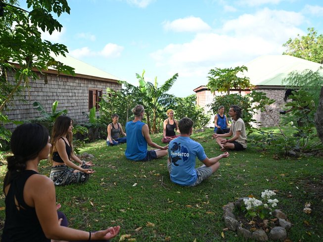 8 Day Jungle Island Retreat: Daily Yoga and Guided Hike in Dominica's  Natural Paradise, Delices 