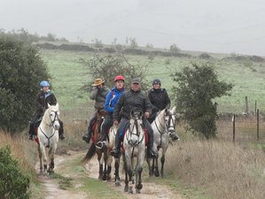 7 Day Conquistadors Progressive Trail Horse Riding Tour in Spain