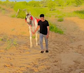8 Day Experience Rajasthan on Horseback: Desert and Exploration Horse Safari in India - Photo 3