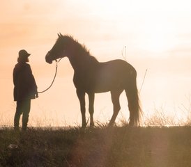 7 Day Wellness Retreat and Sardinian Journey: Connection with Nature, Horses, and Yoga in Italy - Photo 3