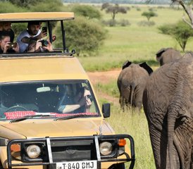 3 Tage Serengeti-Nationalpark und Ngorongoro-Krater Safari in Tansania - Photo 4