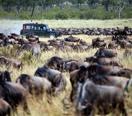 10 jours aventure safari Le meilleur du Kenya et de la Tanzanie, Kenya et Tanzanie - Photo 4