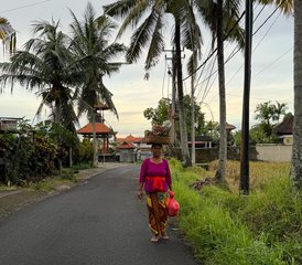 6 jours en stage de yoga et bien-être pour femmes : se reconnecter, se renouveler et s’élever à Ubud, Bali, Indonésie - Photo 5
