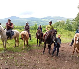 7 Tage Reittour in Ungarn für Erfahrene Reiter und Anfänger - Photo 2