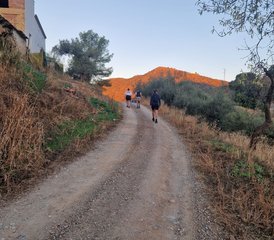 3 semanas de retiro de fitness y pérdida de peso con todo incluido en la impresionante Málaga, España - Photo 5