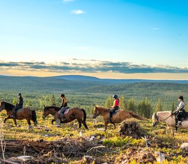 117 Tage Lappland im Sommer Reiten in Rovaniemi, Finnland - Photo 1