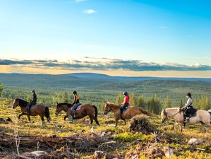 7-Daagse Lapland Zomer Paardrijvakantie in Rovaniemi Finland