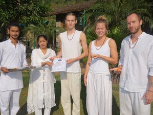 4 Day Yoga, Wellness, and Meditation Retreat in Rishikesh, India