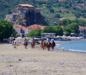 8 Daagse Authentieke Griekse Eiland Paardrijvakantie voor Beginners in Mithymna, Lesbos, Griekenland - Photo 3