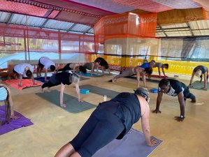 7 Day Yoga Retreat at Varkala Beach, Kerala