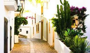 Ibiza Retreats und Reisen