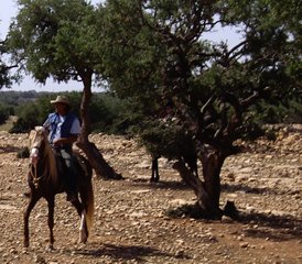 6 jours en stage d’équitation à Essaouira, Maroc - Photo 4