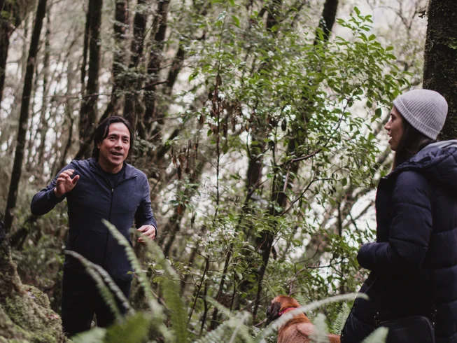 4 Day Luxury Wellness Retreat: Personal Restoration Retreat in South Island, New Zealand