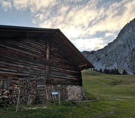 3 jours en stage de détox digitale avec yoga, pranayama et méditation dans les Alpes suisses - Photo 2