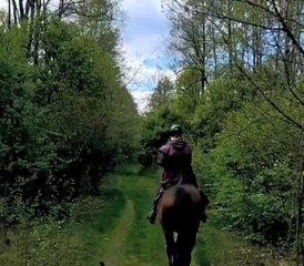 23 Day Center-based Riding Holiday on Borderland Trails in Historical Podlachia, Poland - Photo 1