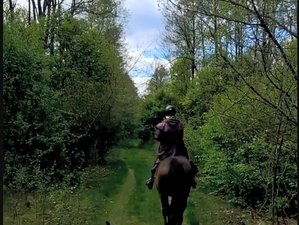 3-Daagse Paardrijvakantie vanuit één Basis op Borderland Trails in Historisch Podlachië, Polen