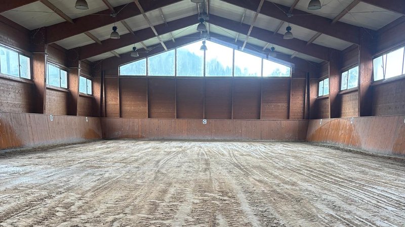 5 Day Lusitano Dressage Riding Holiday in Freiria, Portugal