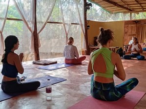 4 Day Learn How To Meditate Retreat in Arambol, Goa, India