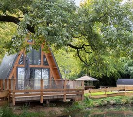3 Jours Stage Yoga en Forêt avec Cynthia, en cabane insolite proche Fontainebleau, France - Photo 4