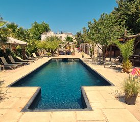 3 Day Yoga and Meditation with Horses Retreat near Barcelona, Spain - Photo 3