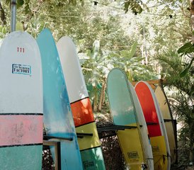 4 jours en retraite de yoga et surf pour couples, amis ou en solo à Santa Teresa, Costa Rica - Photo 3