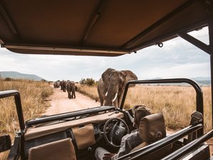 4 Day Ngorongoro Crater and Tarangire National Park or Lake Manyara Safari in Tanzania