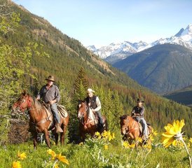 5 Day Ranch-Based Bear Tracking and Conservation Horse Riding Holiday in British Columbia, Canada - Photo 2